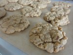 Maple walnut cookies closeup