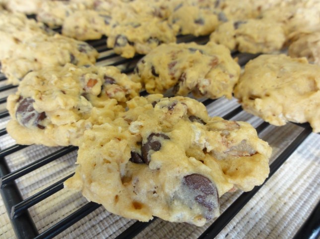 Oat chocolate chip cookies close-up