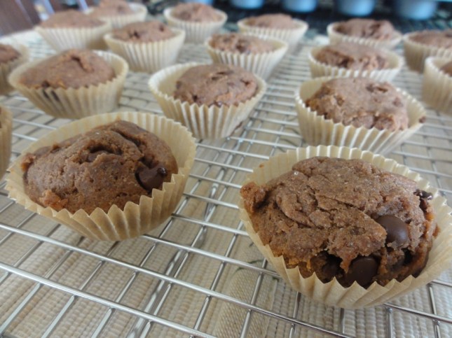 Banana chocolate chip mini brownies