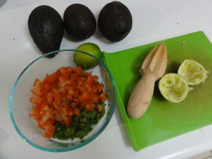 Chopped cilantro, tomato, and lime juice mixed together