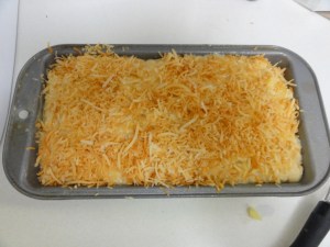 Cake in the pan with coconut