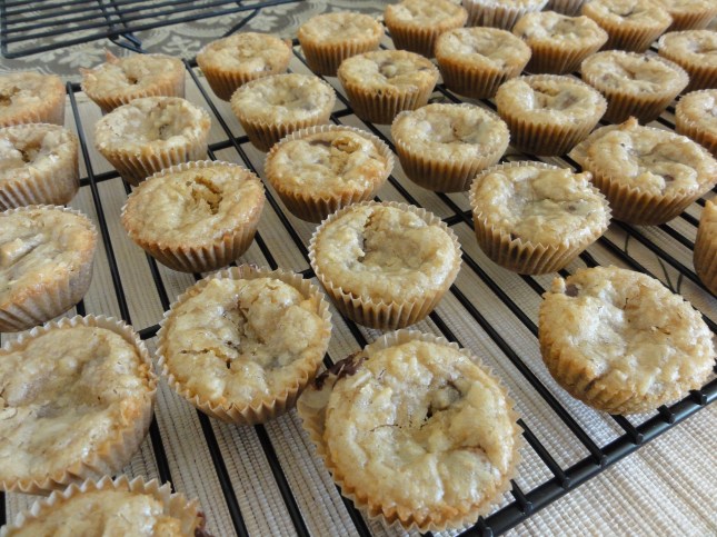 Coconut chocolate chip mini-brownies on a tray